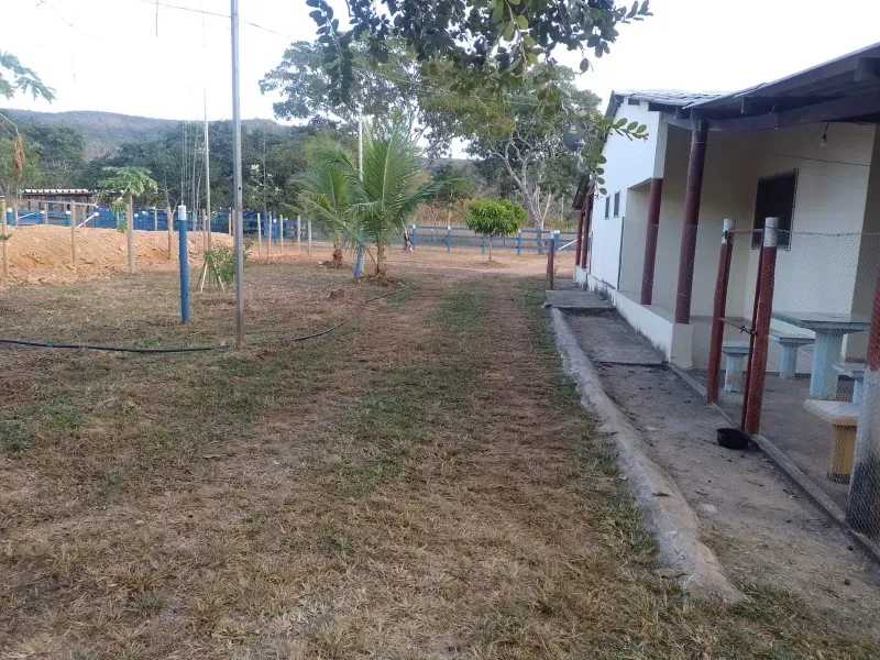 Fazenda em Buritis/Minas Gerais — Ref 0ETHMC — Imagem 5