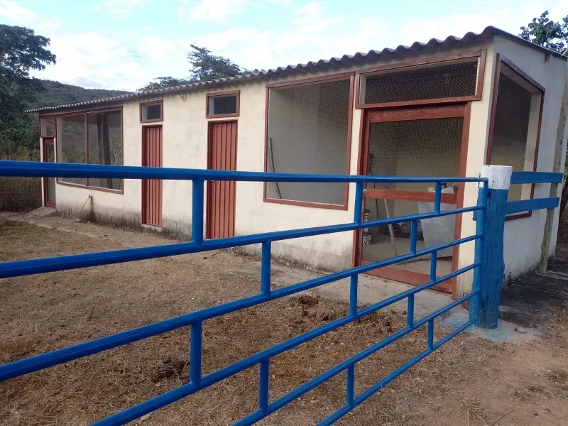 Fazenda em Buritis/Minas Gerais — Ref 0ETHMC — Imagem 4