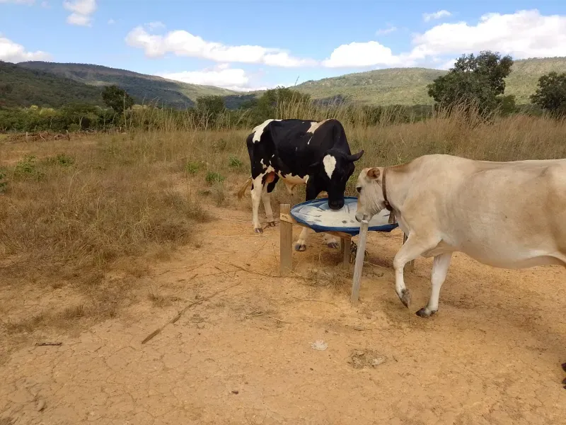 Fazenda em Buritis/Minas Gerais — Ref 0ETHMC — Imagem 24