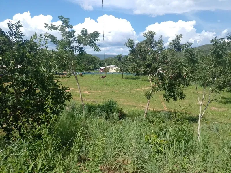 Fazenda em Buritis/Minas Gerais — Ref 0ETHMC — Imagem 33