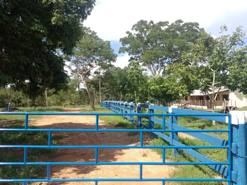 Fazenda em Buritis/Minas Gerais — Ref 0ETHMC — Imagem 23