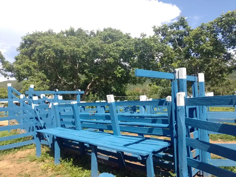 Fazenda em Buritis/Minas Gerais — Ref 0ETHMC — Imagem 15