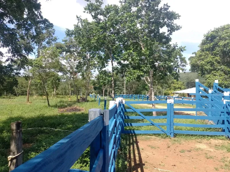 Fazenda em Buritis/Minas Gerais — Ref 0ETHMC — Imagem 22