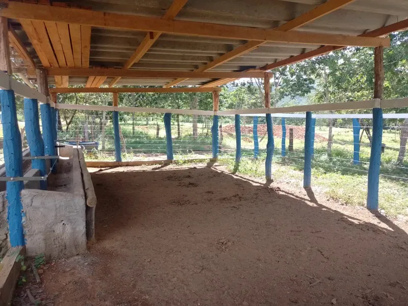 Fazenda em Buritis/Minas Gerais — Ref 0ETHMC — Imagem 17