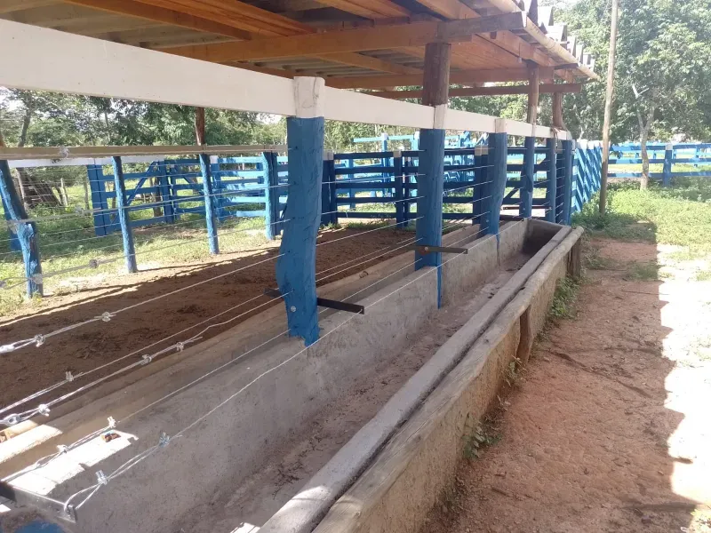 Fazenda em Buritis/Minas Gerais — Ref 0ETHMC — Imagem 20