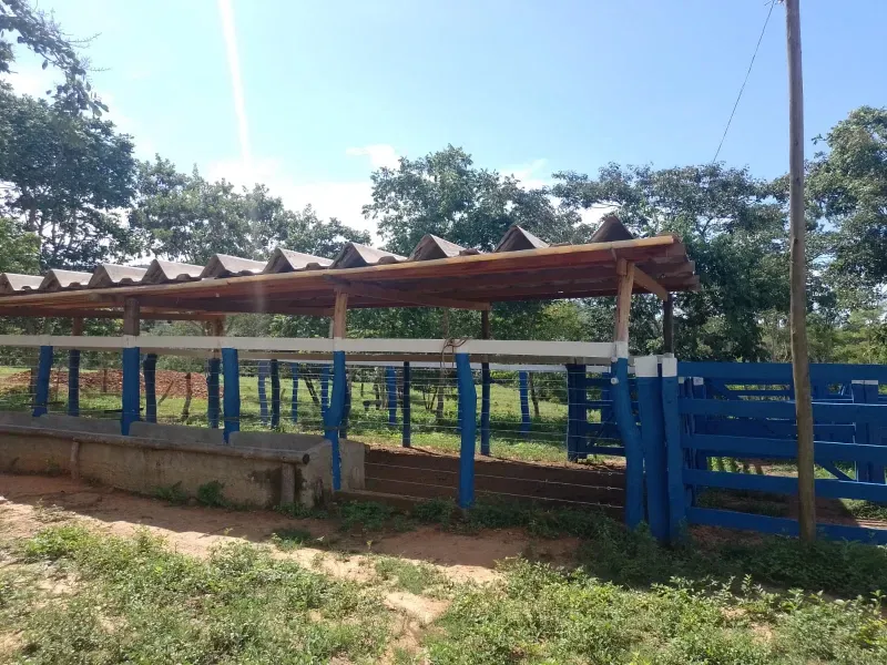 Fazenda em Buritis/Minas Gerais — Ref 0ETHMC — Imagem 14