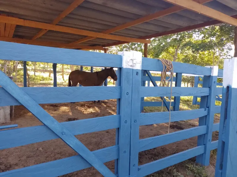 Fazenda em Buritis/Minas Gerais — Ref 0ETHMC — Imagem 18