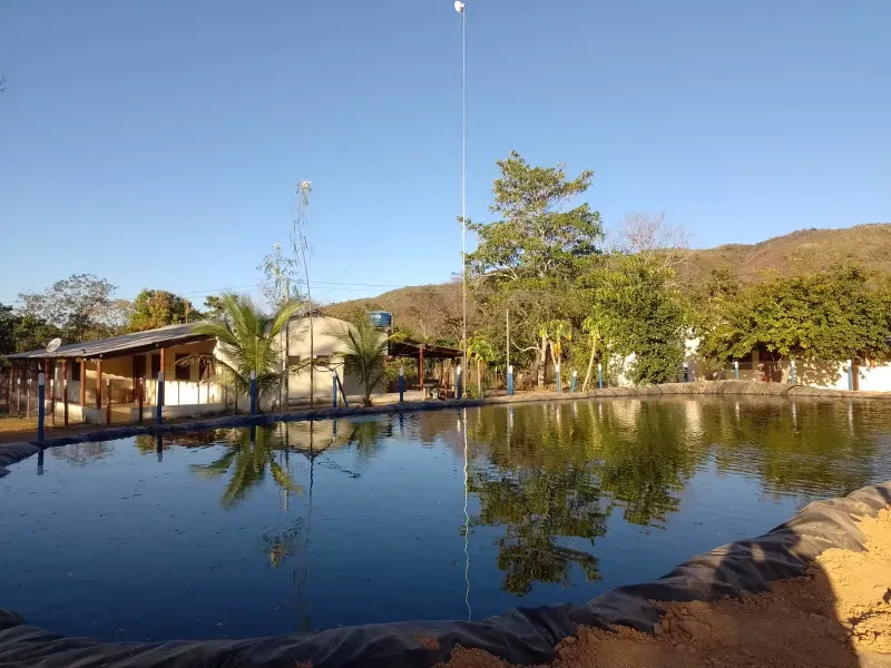 Fazenda em Buritis/Minas Gerais — Ref 0ETHMC — Imagem 2