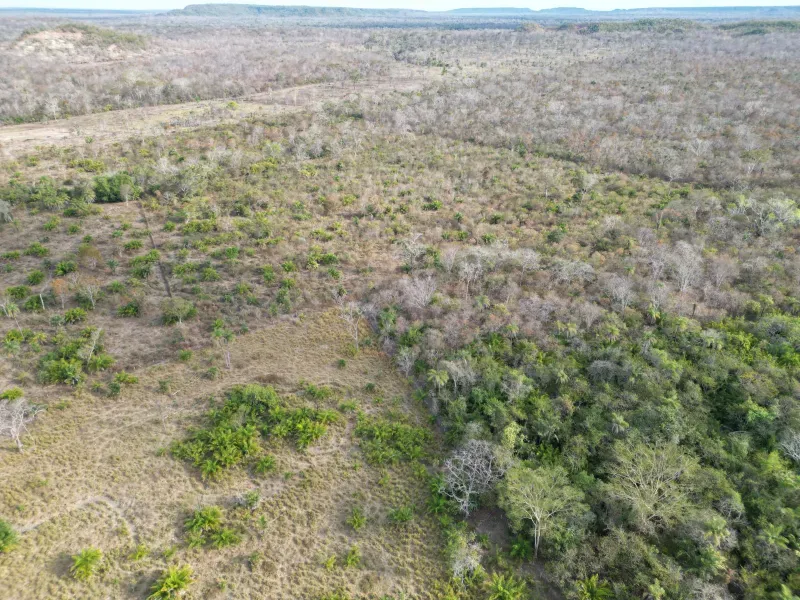 Fazenda em Barra do Ouro/Tocantins — Ref N6AAH4 — Imagem 3