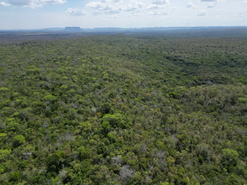 Fazenda em Carolina/Maranhão — Ref PZ6YI5 — Imagem 2