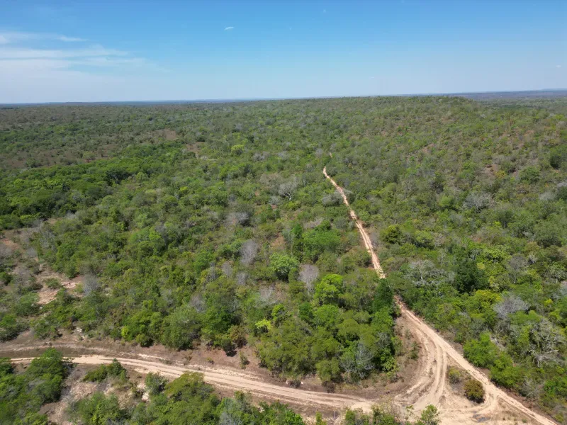 Fazenda em Carolina/Maranhão — Ref PZ6YI5 — Imagem 3