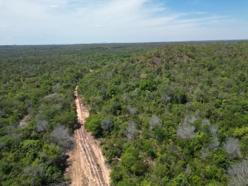 Fazenda em Carolina/Maranhão — Ref PZ6YI5 — Imagem 4