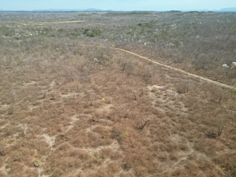 Fazenda em Carolina/Maranhão — Ref SIYVSD — Imagem 4
