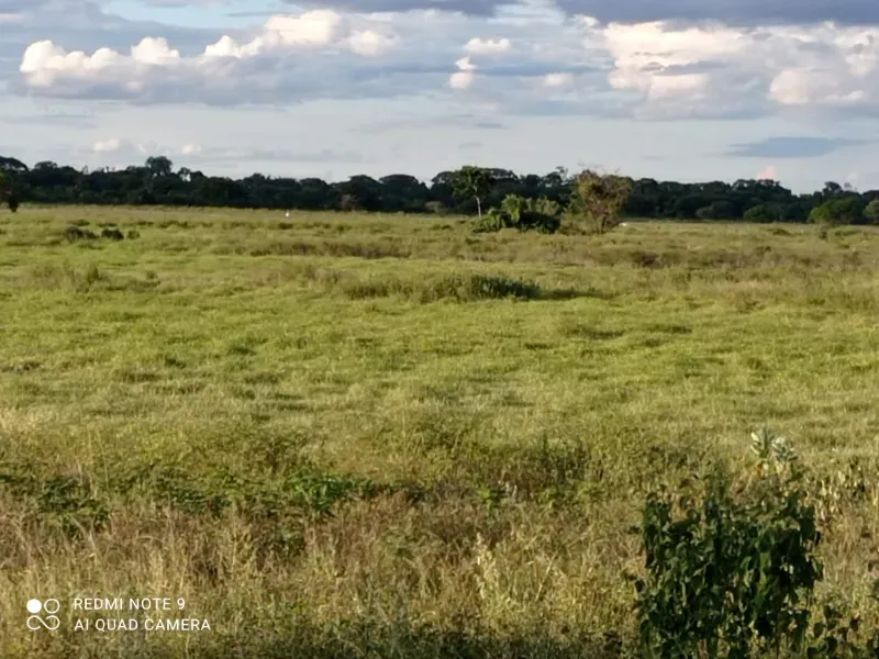 Fazenda em Manga/Minas Gerais — Ref 5HGX80 — Imagem 3