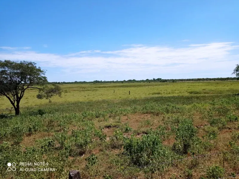 Fazenda em Manga/Minas Gerais — Ref 5HGX80 — Imagem 2