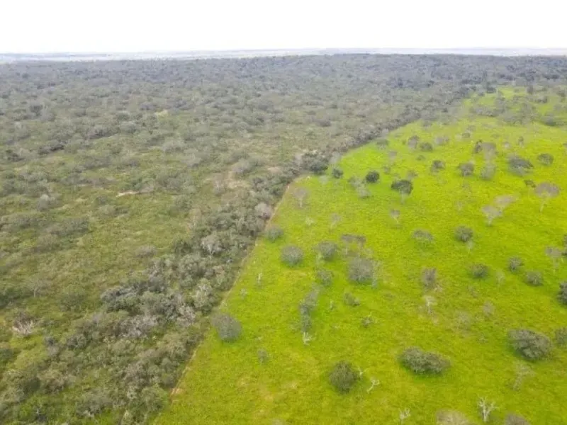 Fazenda em Coração de Jesus/Minas Gerais — Ref 9W5PRV — Imagem 6