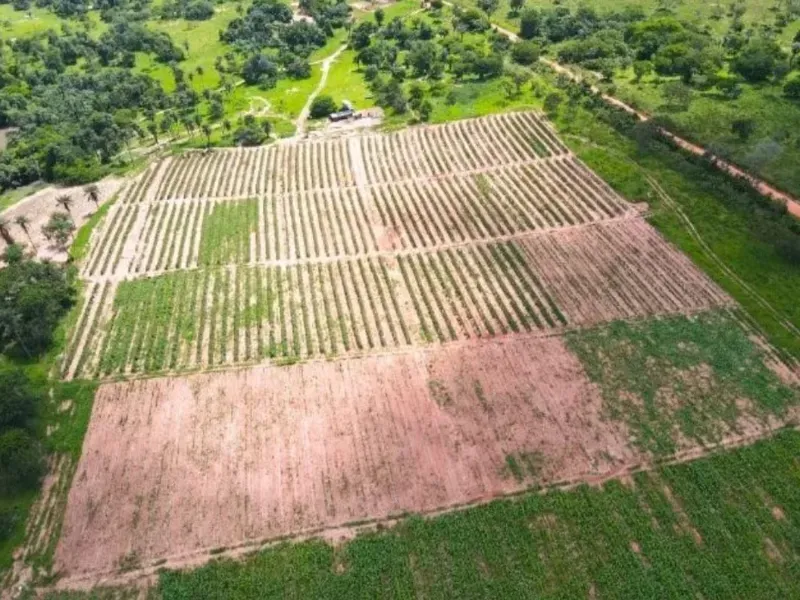 Fazenda em Coração de Jesus/Minas Gerais — Ref 9W5PRV — Imagem 2
