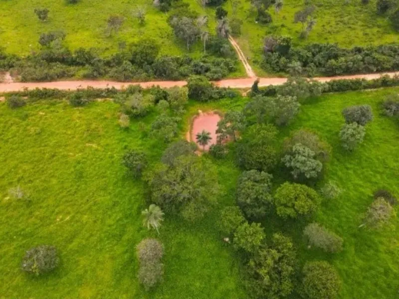Fazenda em Coração de Jesus/Minas Gerais — Ref 9W5PRV — Imagem 7