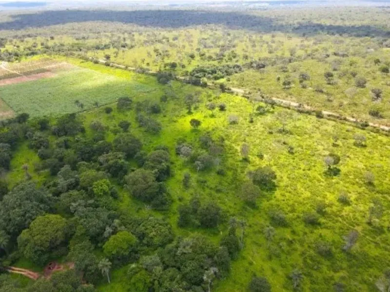Fazenda em Coração de Jesus/Minas Gerais — Ref 9W5PRV — Imagem 9