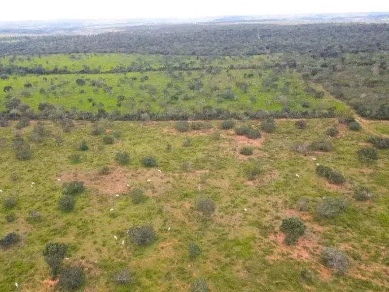 Fazenda em Coração de Jesus/Minas Gerais — Ref 9W5PRV — Imagem 10