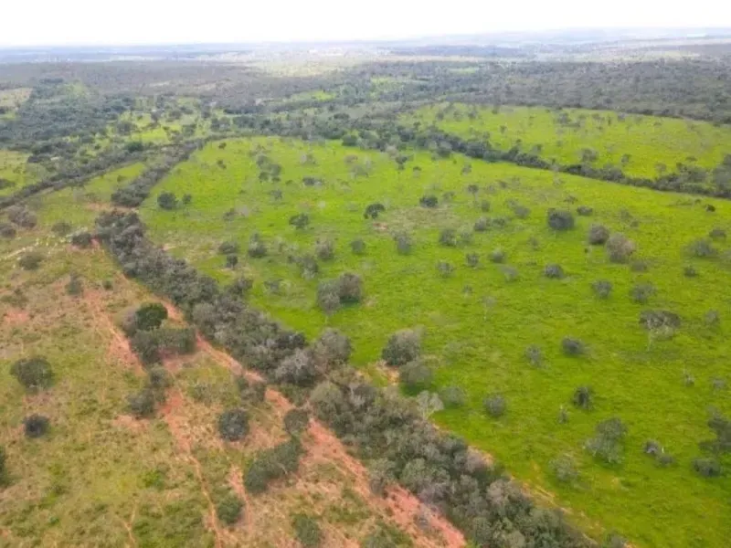 Fazenda em Coração de Jesus/Minas Gerais — Ref 9W5PRV — Imagem 11