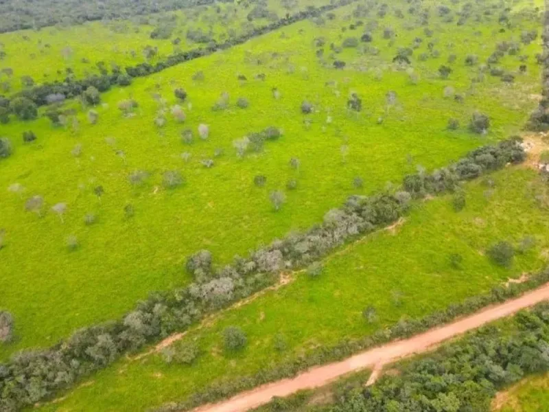 Fazenda em Coração de Jesus/Minas Gerais — Ref 9W5PRV — Imagem 13