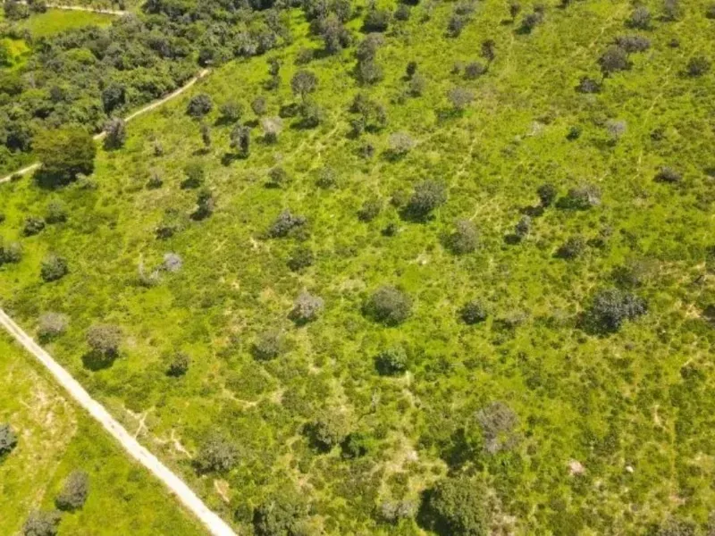 Fazenda em Coração de Jesus/Minas Gerais — Ref 9W5PRV — Imagem 15