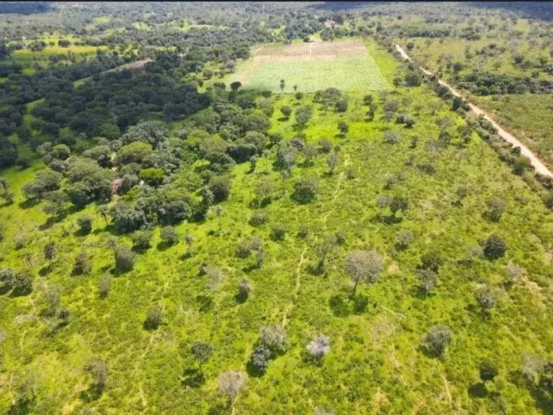 Fazenda em Coração de Jesus/Minas Gerais — Ref 9W5PRV — Imagem 4