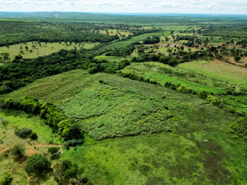Fazenda em Bocaiúva/Minas Gerais — Ref 91221Z — Imagem 14