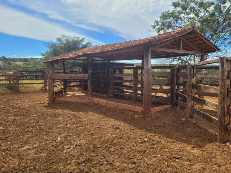 Fazenda em Bocaiúva/Minas Gerais — Ref 91221Z — Imagem 6