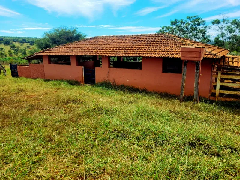 Fazenda em Bocaiúva/Minas Gerais — Ref 91221Z — Imagem 5