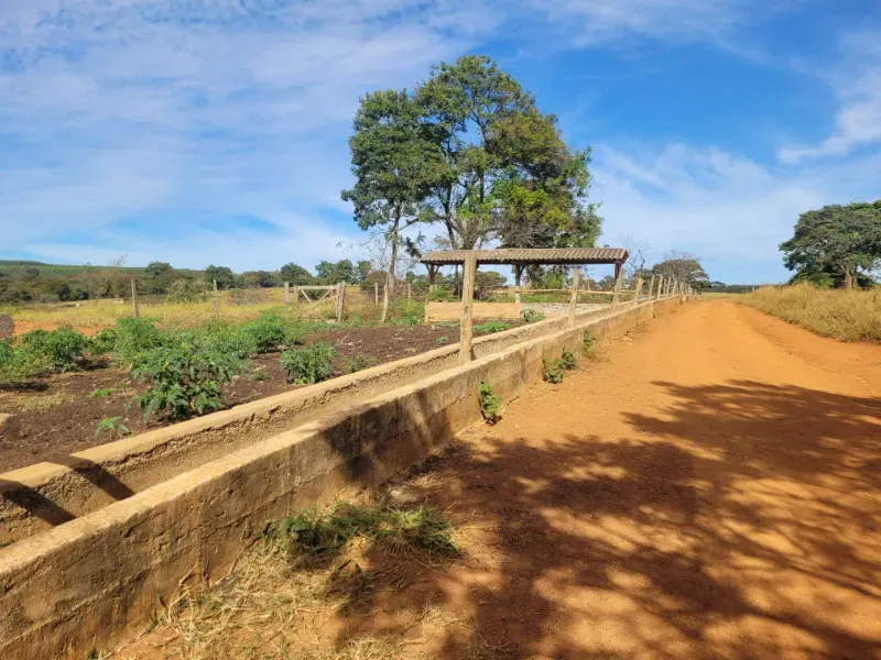 Fazenda em Bocaiúva/Minas Gerais — Ref 91221Z — Imagem 9