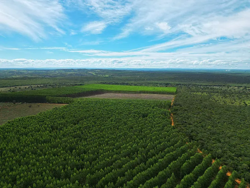 Fazenda em Bocaiúva/Minas Gerais — Ref 91221Z — Imagem 3