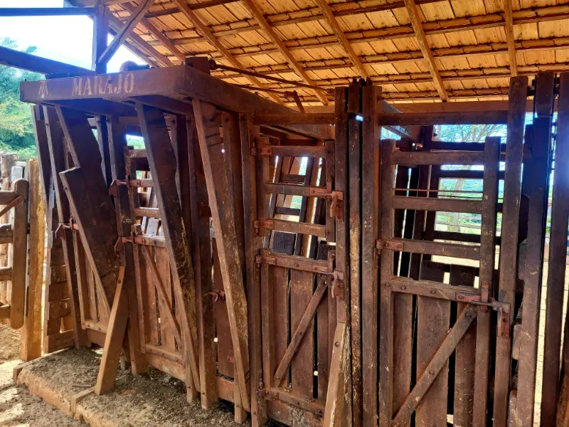 Fazenda em Bocaiúva/Minas Gerais — Ref 91221Z — Imagem 7