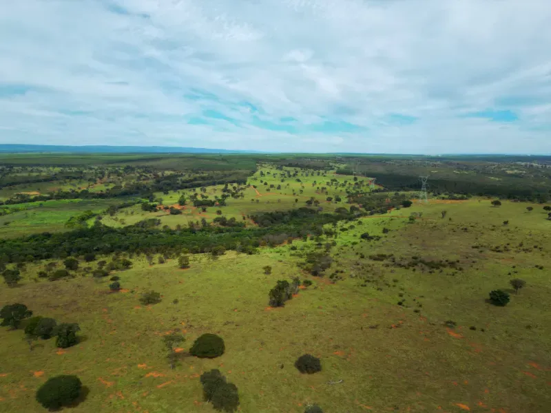 Fazenda em Bocaiúva/Minas Gerais — Ref 91221Z — Imagem 20