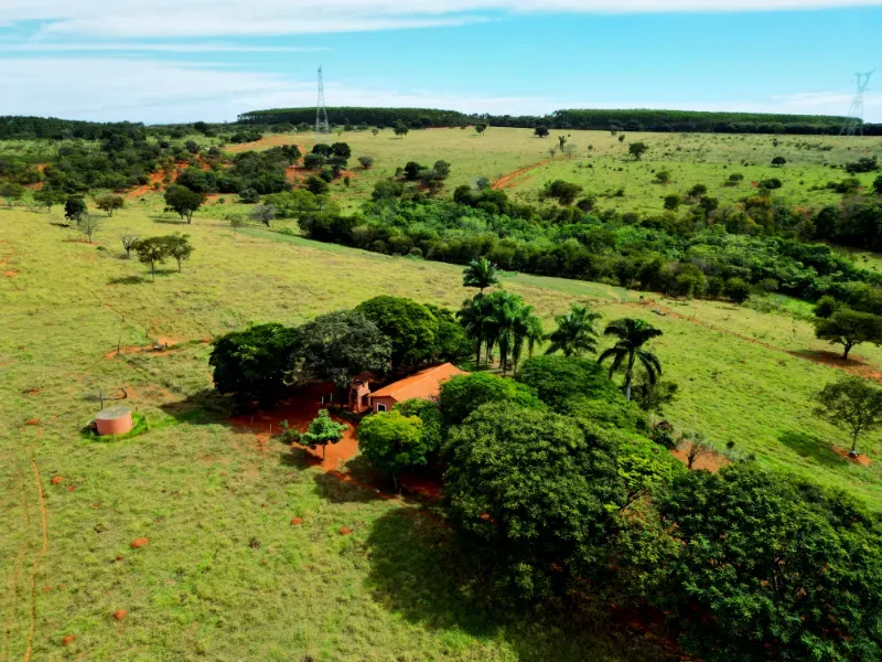 Fazenda em Bocaiúva/Minas Gerais — Ref 91221Z — Imagem 13