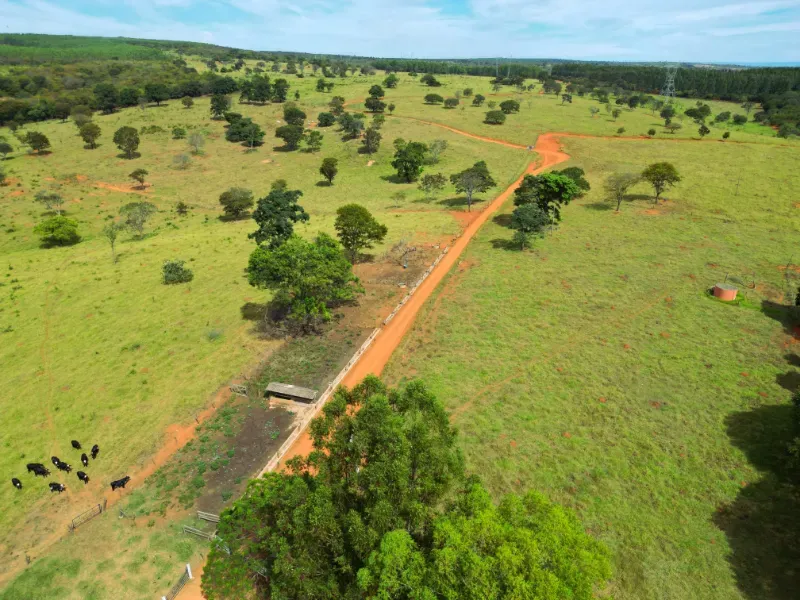 Fazenda em Bocaiúva/Minas Gerais — Ref 91221Z — Imagem 12