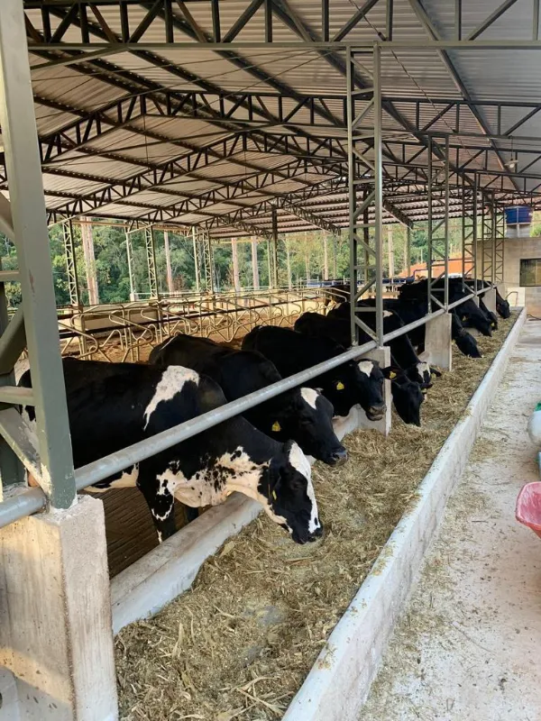 Imóvel rural em Lima Duarte/Minas Gerais — Ref LHSN1N1