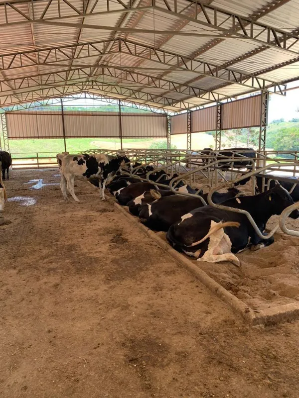 Fazenda em Lima Duarte/Minas Gerais — Ref LHSN1N — Imagem 5