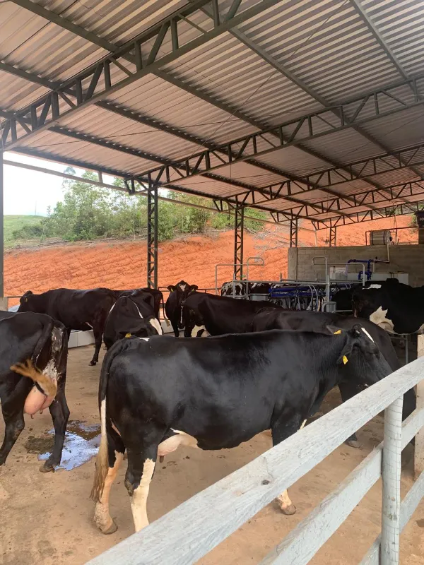 Fazenda em Lima Duarte/Minas Gerais — Ref LHSN1N — Imagem 6