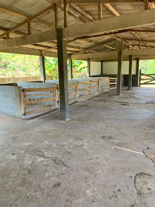 Fazenda em Lima Duarte/Minas Gerais — Ref LHSN1N — Imagem 9