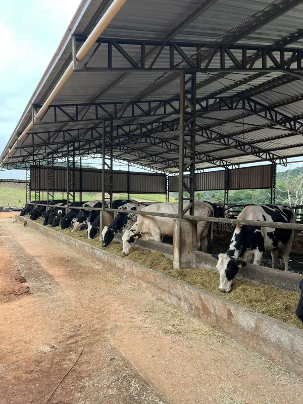 Fazenda em Lima Duarte/Minas Gerais — Ref LHSN1N — Imagem 14