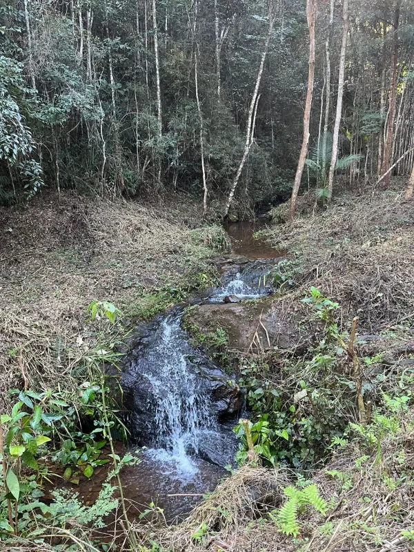 Fazenda em Lima Duarte/Minas Gerais — Ref LHSN1N — Imagem 19