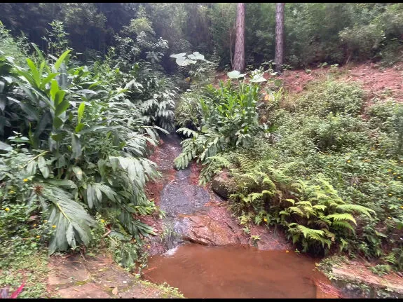 Fazenda em Teresópolis/Rio de Janeiro — Ref JR8Z52 — Imagem 11