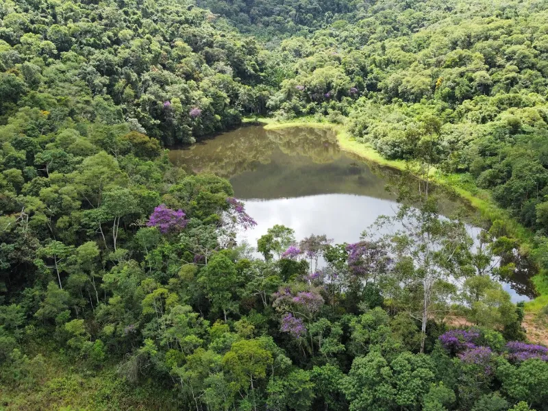 Fazenda em Teresópolis/Rio de Janeiro — Ref JR8Z52 — Imagem 4