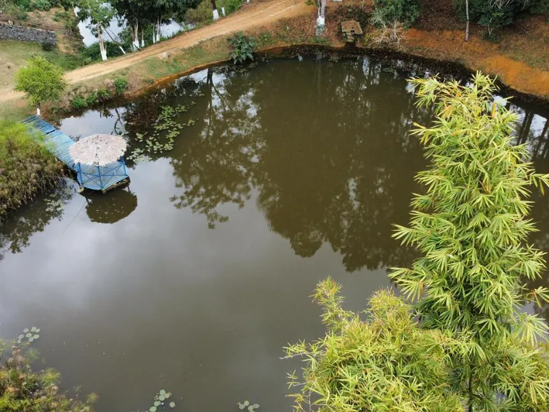 Sítio em Mercês/Minas Gerais — Ref V3H28Y — Imagem 22