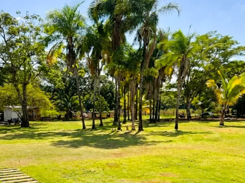 Fazenda em Jussara/Goiás — Ref FIB9IZ — Imagem 2
