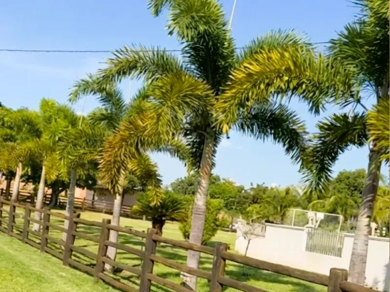 Fazenda em Jussara/Goiás — Ref FIB9IZ — Imagem 3