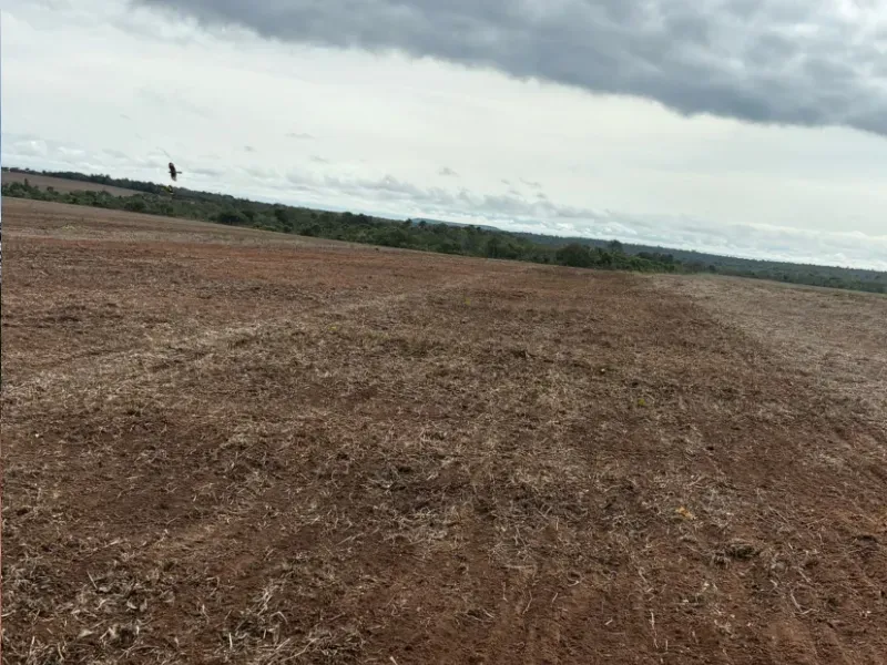 Fazenda em Jussara/Goiás — Ref FIB9IZ — Imagem 21