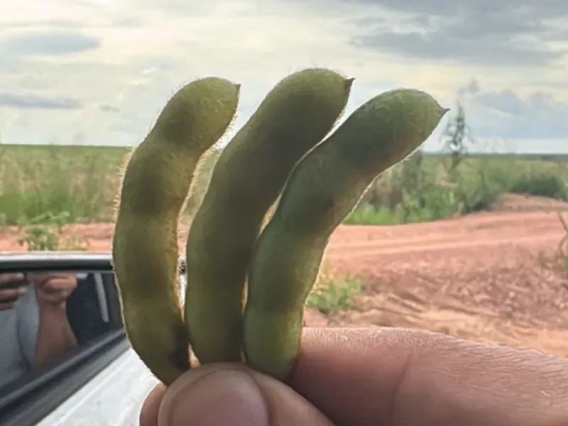 Fazenda em Jussara/Goiás — Ref FIB9IZ — Imagem 18